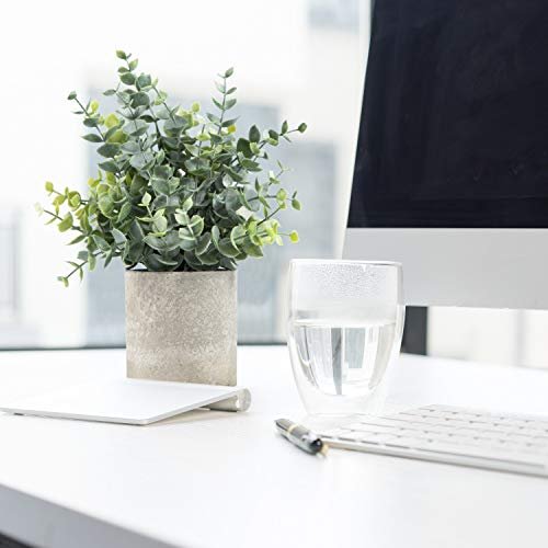 2 Pack Sage Green Eucalyptus Potted Artificial Plants