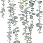 COCOBOO Eucalyptus Hanging Plant for Stylish Home Decor