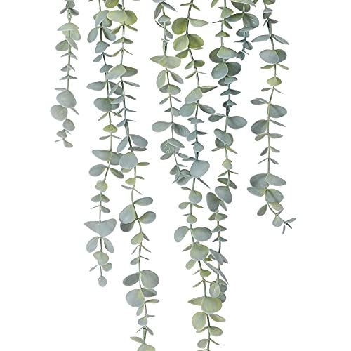 COCOBOO Eucalyptus Hanging Plant for Stylish Home Decor