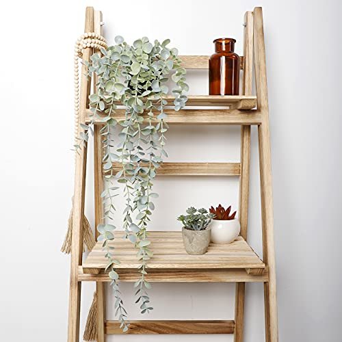 COCOBOO Eucalyptus Hanging Plant for Stylish Home Decor
