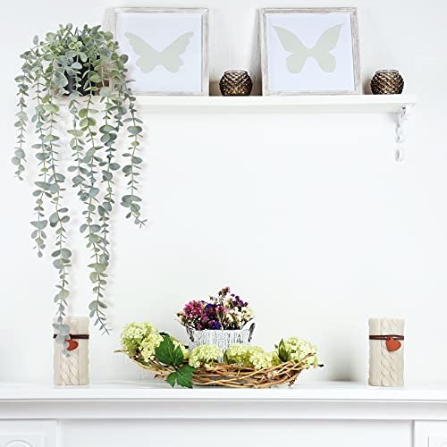 COCOBOO Eucalyptus Hanging Plant for Stylish Home Decor