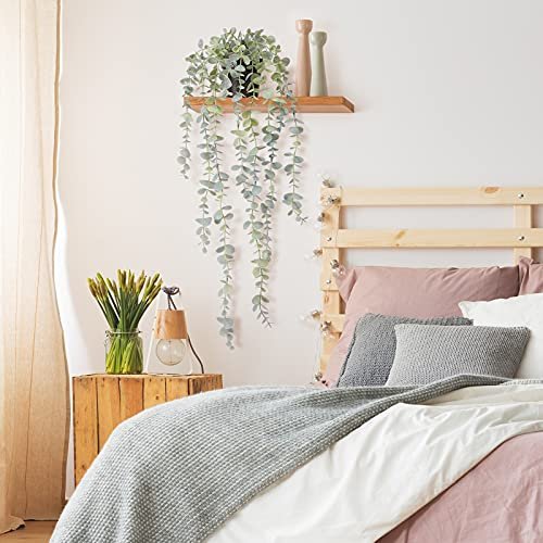 COCOBOO Eucalyptus Hanging Plant for Stylish Home Decor