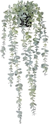 COCOBOO Eucalyptus Hanging Plant for Stylish Home Decor